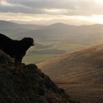 Top of Mendick